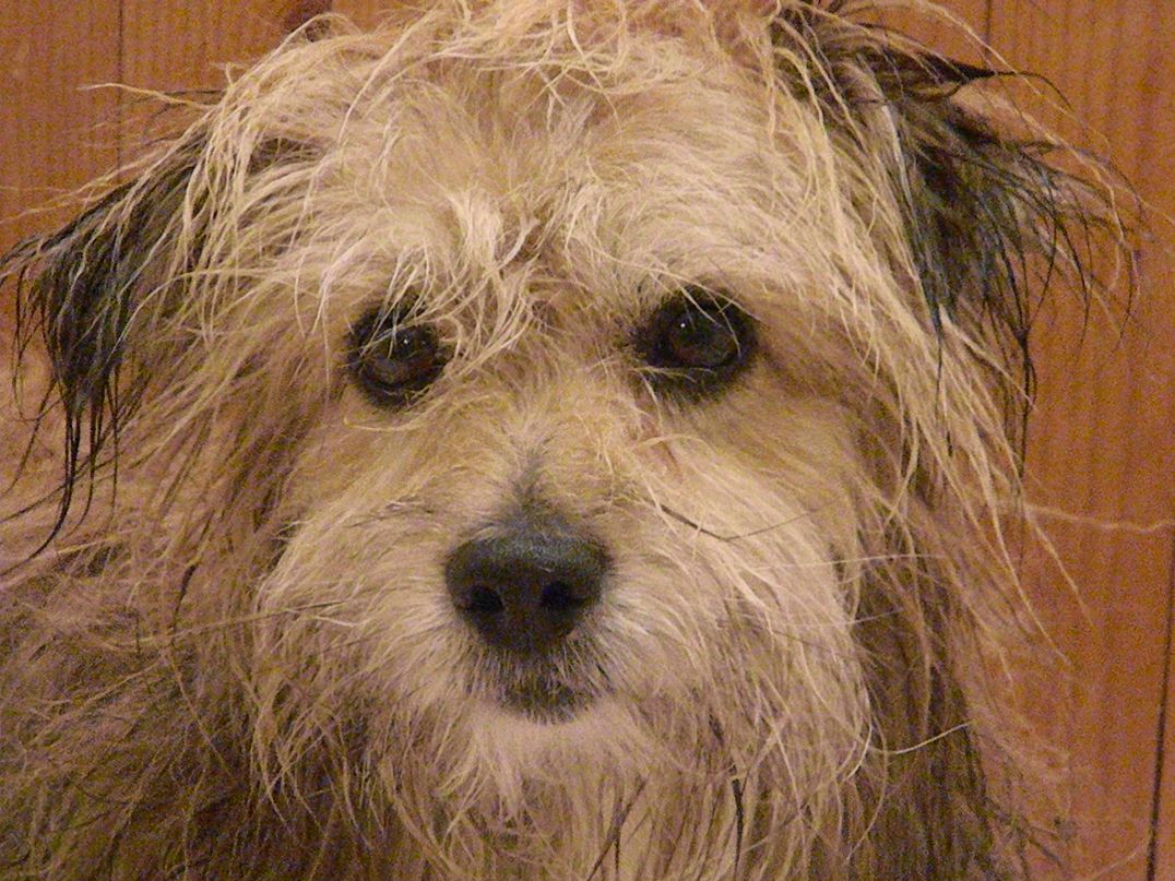 Елена Ладыгина | Усть-Илимск