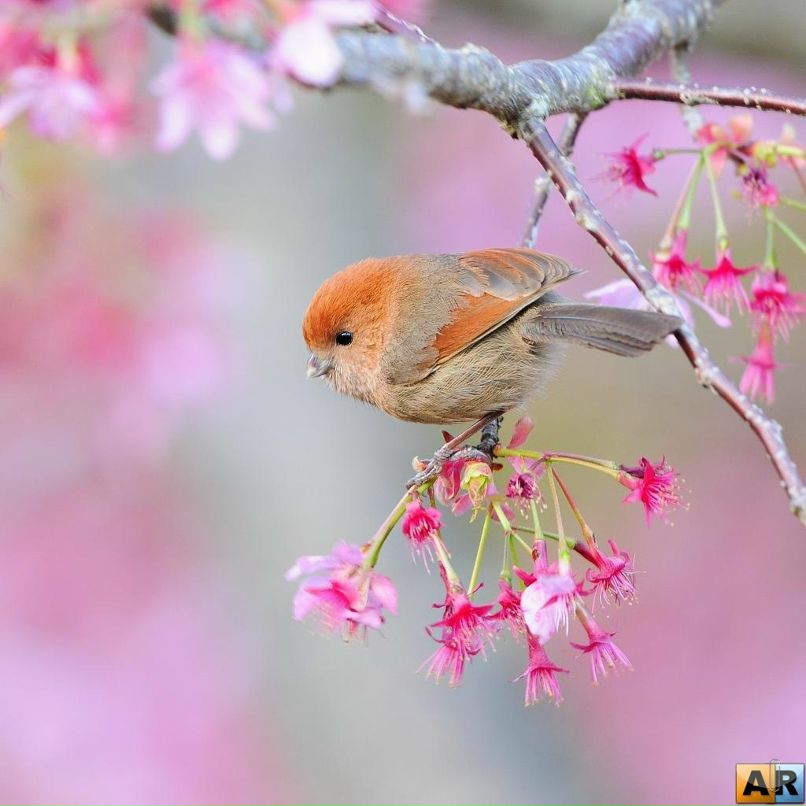 Alyssa Pol'skikh | San Francisco