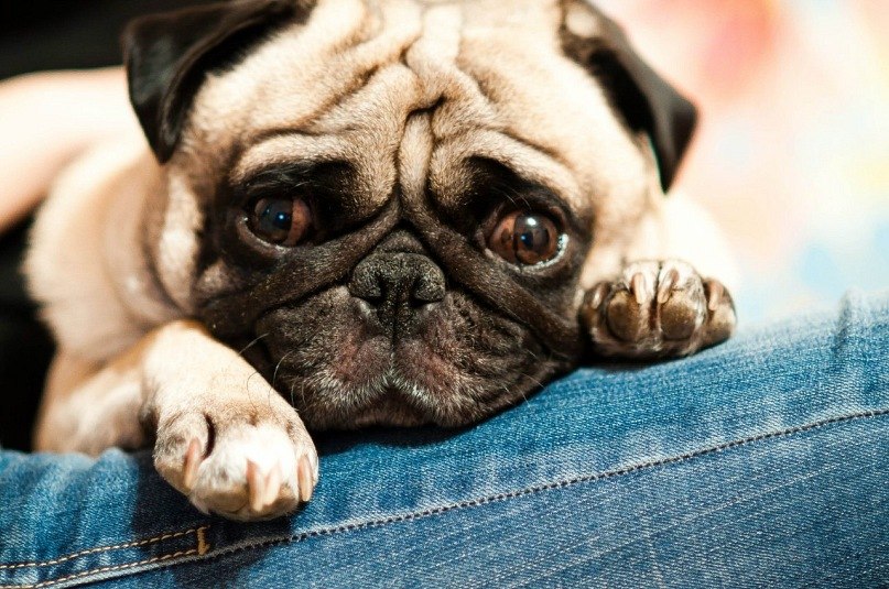 Анастасия Чистякова | Чебоксары