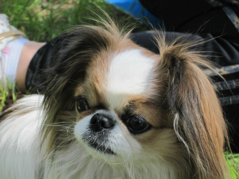 Алина Стигарь | Днепр (Днепропетровск)