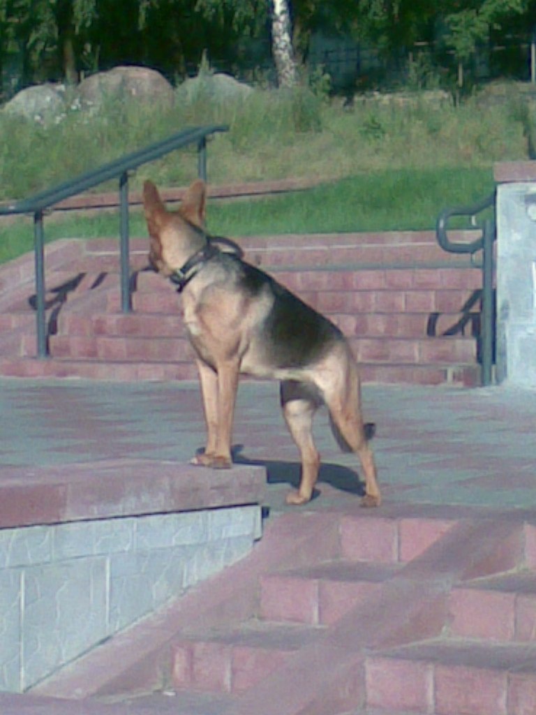 Дина Малашко | Минск