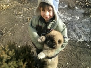 №16, Николай Новичков №16, Николай Новичков