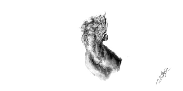 Мария Чернова | Новочебоксарск