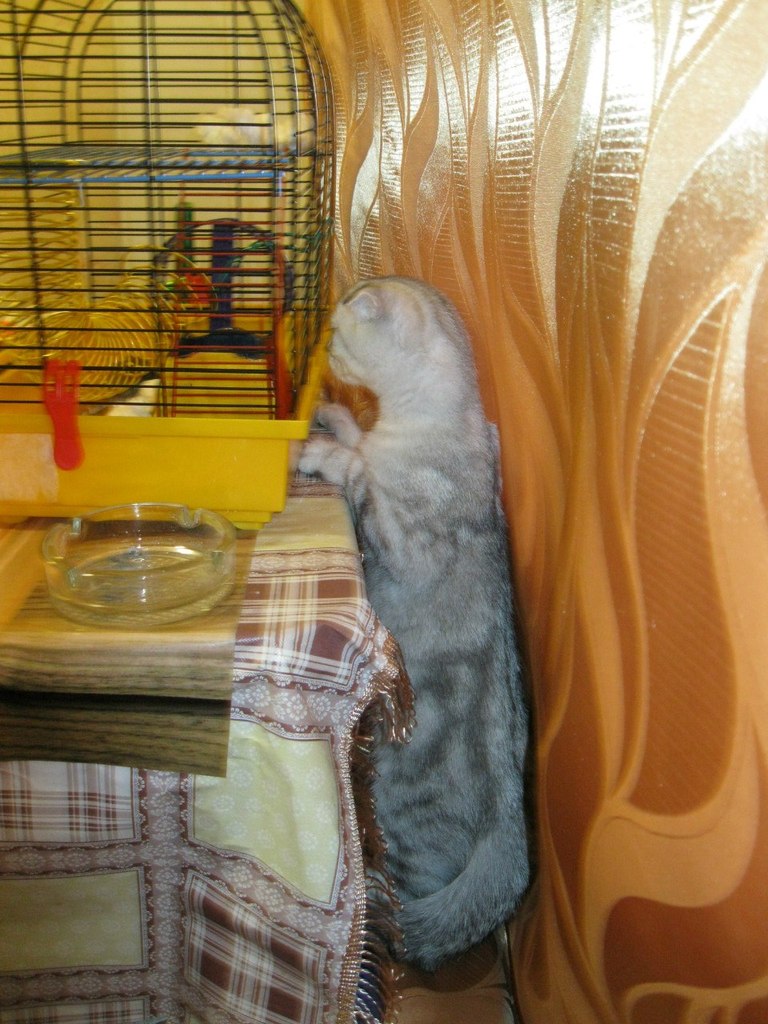 Ирина Кучина | Москва