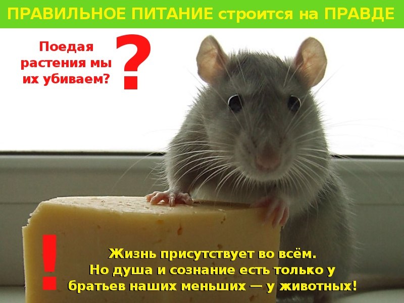 Марат Гиниятуллин | Уфа