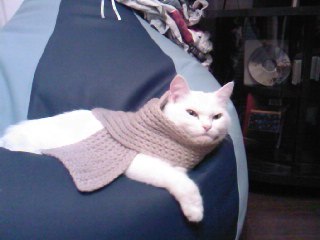 №17, Кирилл Михеев, Донецк №17, Кирилл Михеев, Донецк