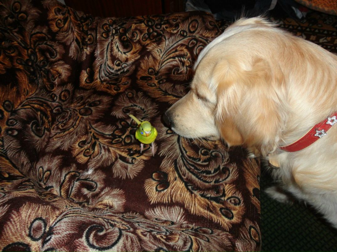 Юлия Беляева | Донецк