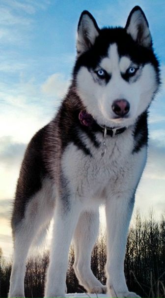 №126, Дарья Трусова, 24 года, Полевской №126, Дарья Трусова, 24 года, Полевской