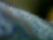 Анна Куга ♥ | Киев