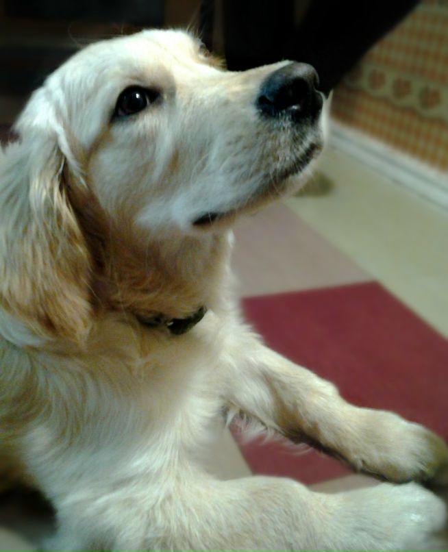 Танюшенька Степанюк GloRi@ | Алчевск