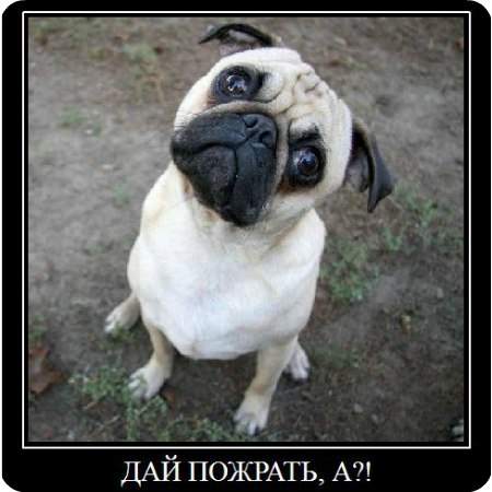 Ольга Билаш | Кривой Рог