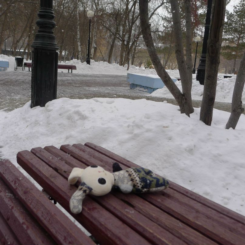 Ксения Абрамова | Новосибирск