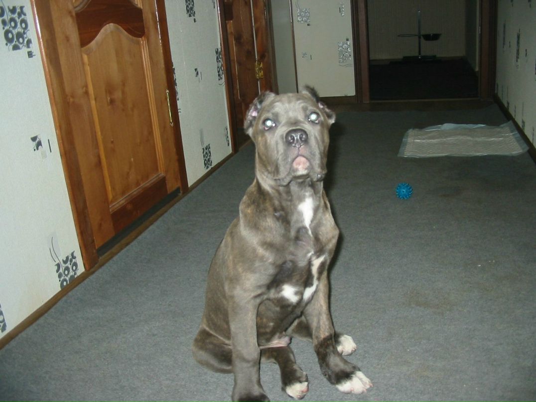 Андрей Тарануха | Санкт-Петербург