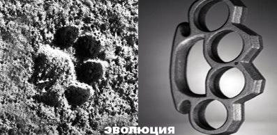 Елена Москвина | Ухта