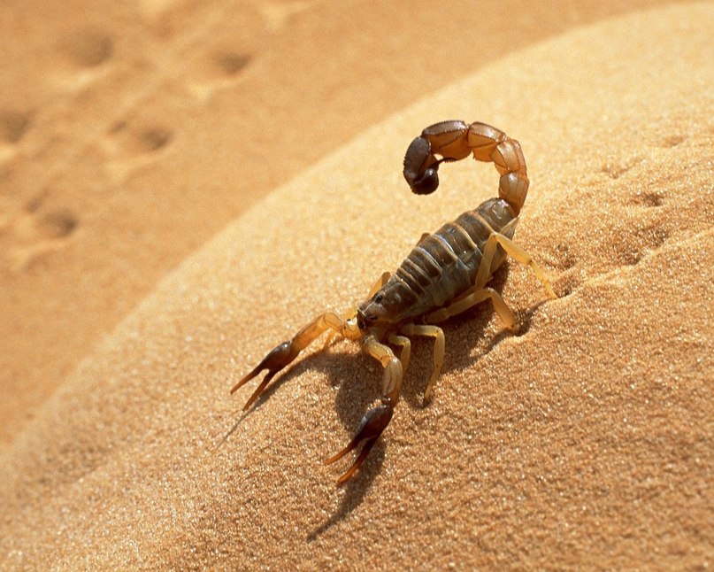 Ольга Румянцева | Тверь