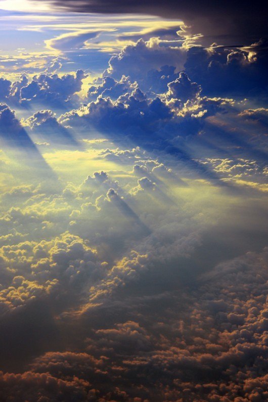 Lolig Lolovic | Puerto Cortés