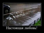 №12 Юнона Соколова : профиль, фото, статус - ВКонтакте