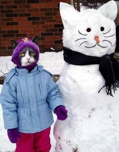 Константин Пантелеев | Краснодар