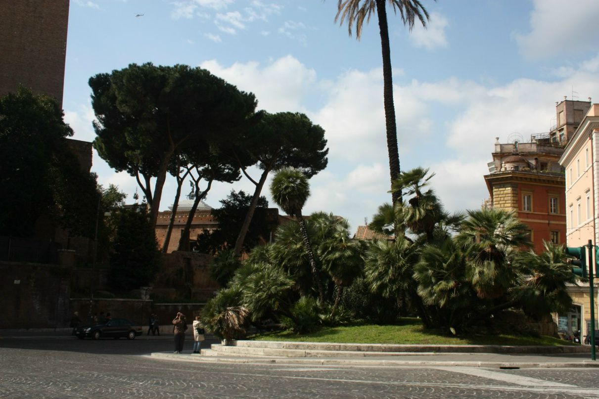 Ксения Павлова | Москва