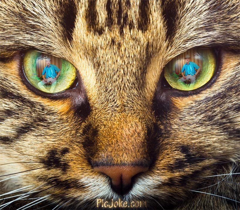 Юрий Гришин | Калининград