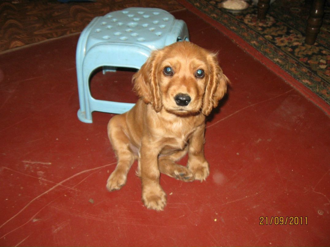 Евгения Макалиш | Херсон