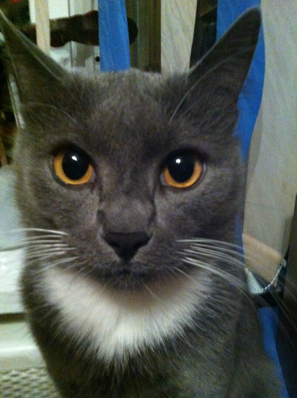 Александр Боговец | Минск