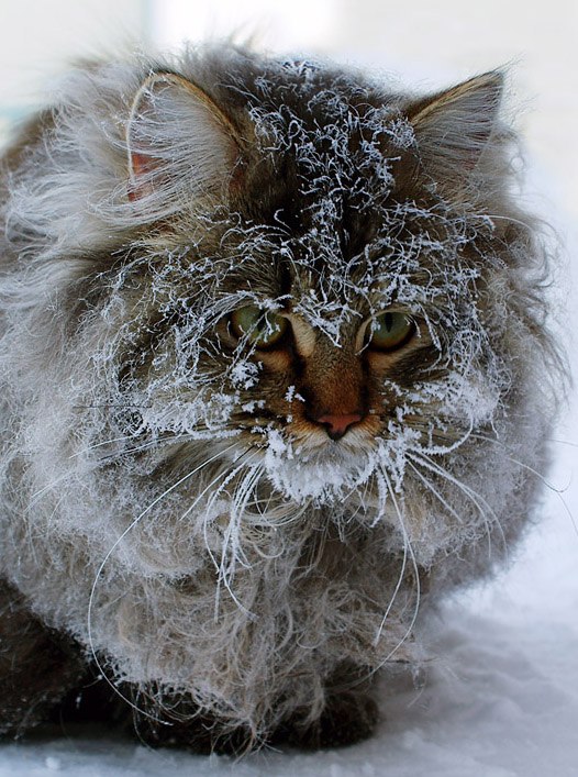 Вячеслав Щербаков | Москва