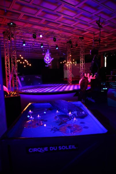 Наталья Дмитриева | Санкт-Петербург