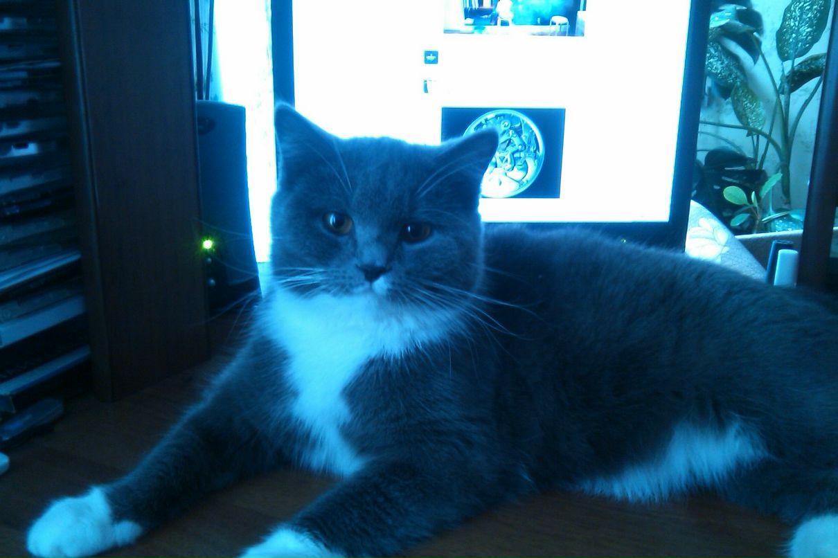 Иван Исыпов | Пермь