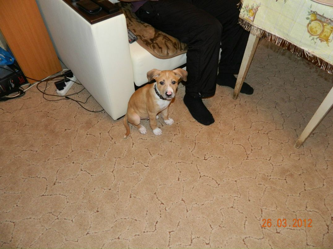 Алексей Вилков | Рязань