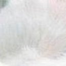 №87, Виталина Мач, Харьков №87, Виталина Мач, Харьков