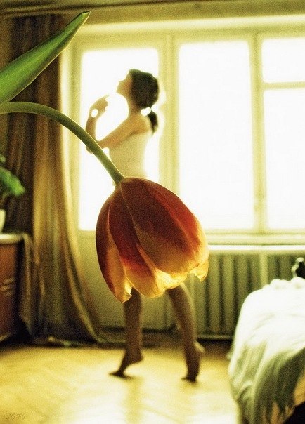 №182, Ananastya Kogan, 33 года, Москва №182, Ananastya Kogan, 33 года, Москва