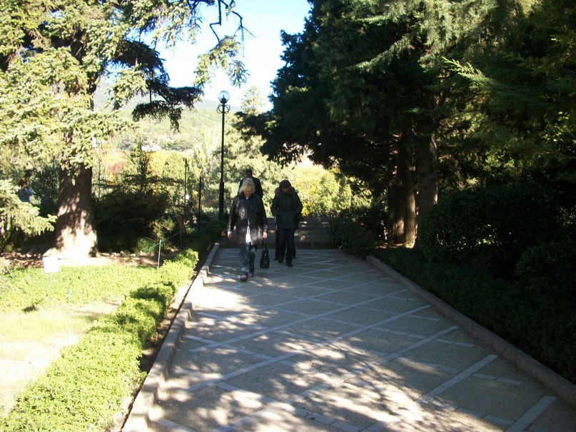 Сергей Бугаев | Александровка