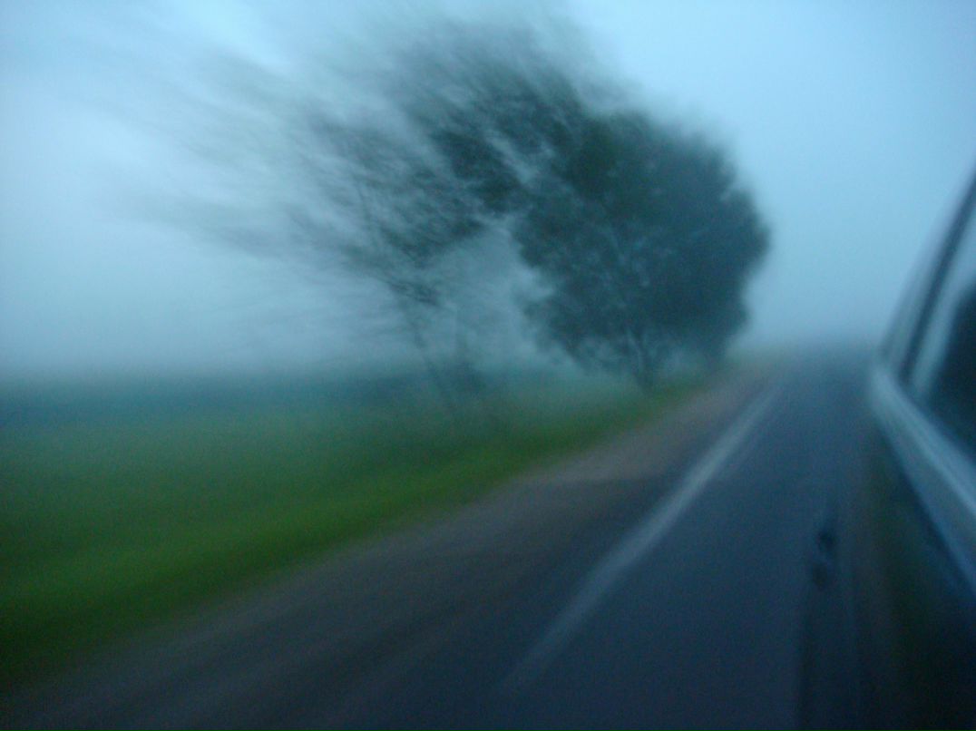 Lena Fridrich | Тель-Авив