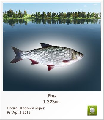 Сергей Алексеев | Санкт-Петербург