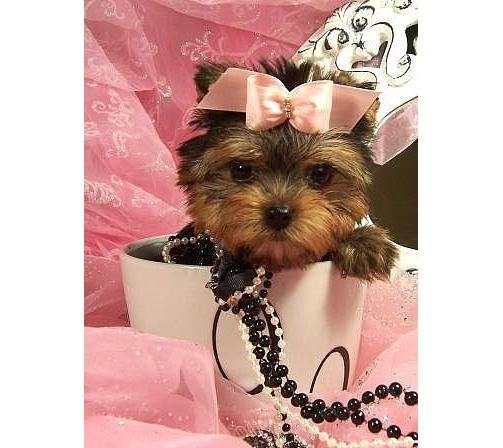 №10, Katysha Kovtunova, 16.2 №10, Katysha Kovtunova, 16.2