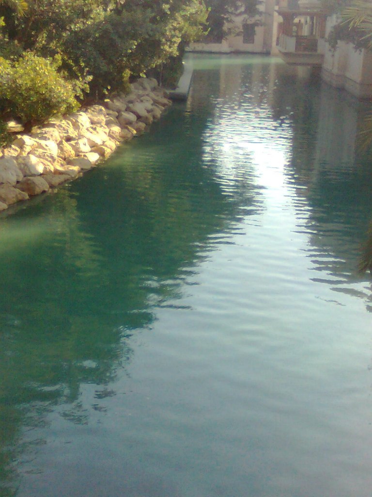 Сергей Никитин | Санкт-Петербург