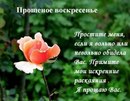 №16 Наталия Зубрилина