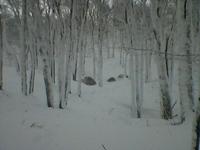 Юлия Владимирова | Севастополь