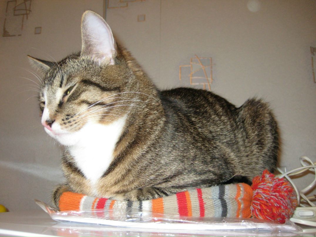 Denis Mityaev | Sihanoukville