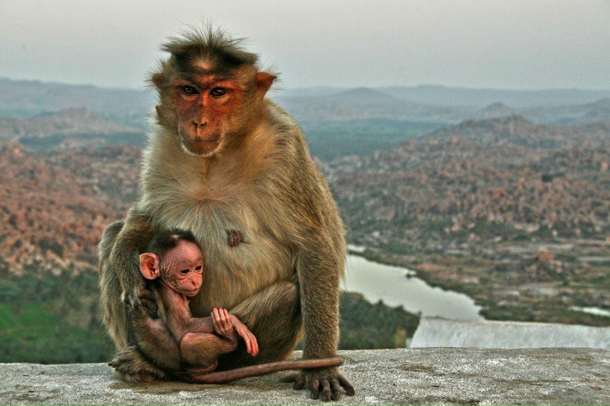Таисья Афинская | Москва