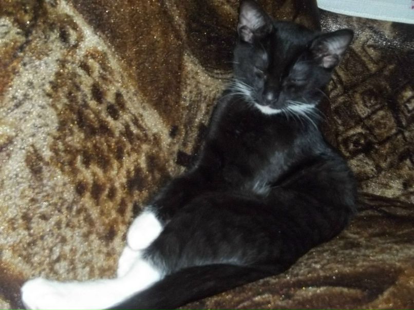 Елизавета Меркуль | Минск