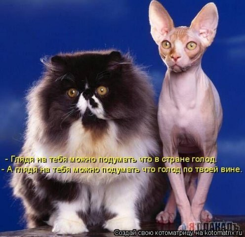 Алёна Фоменко ₪ ø lll .o· | Киев