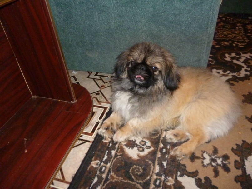 Мария Никитина | Санкт-Петербург