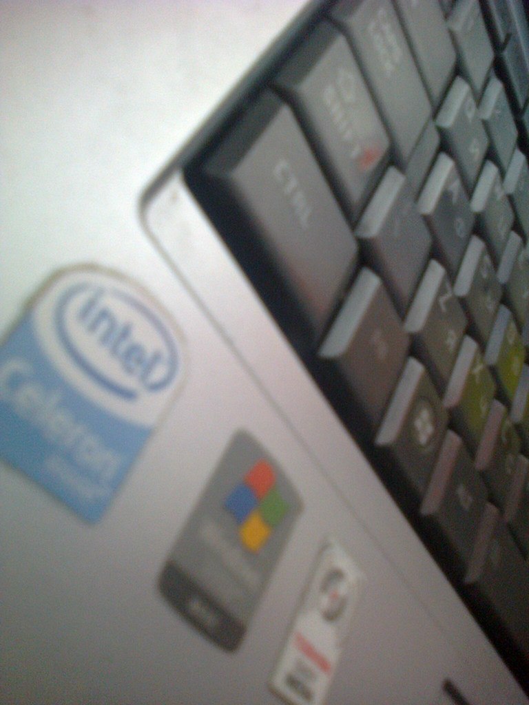 Александра Кот | Москва