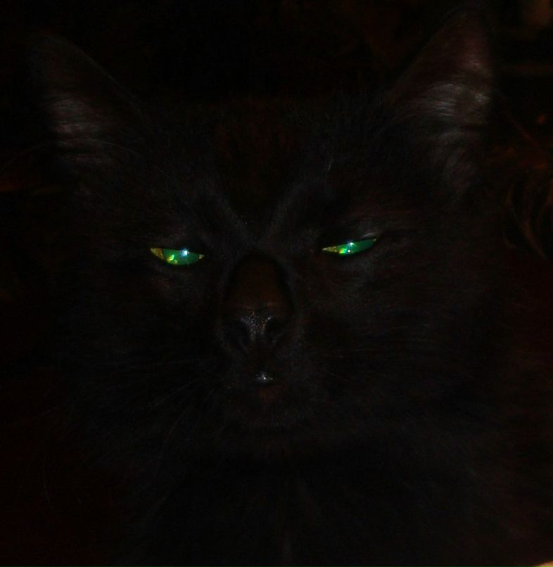 Наиля Немова | Саратов