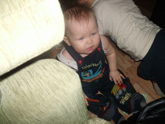 Дмитрий Стрельников | Тайга