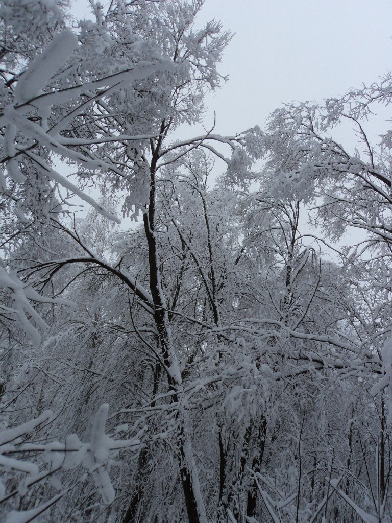Серёжа Нестеров BAD BOY | Звенигородка