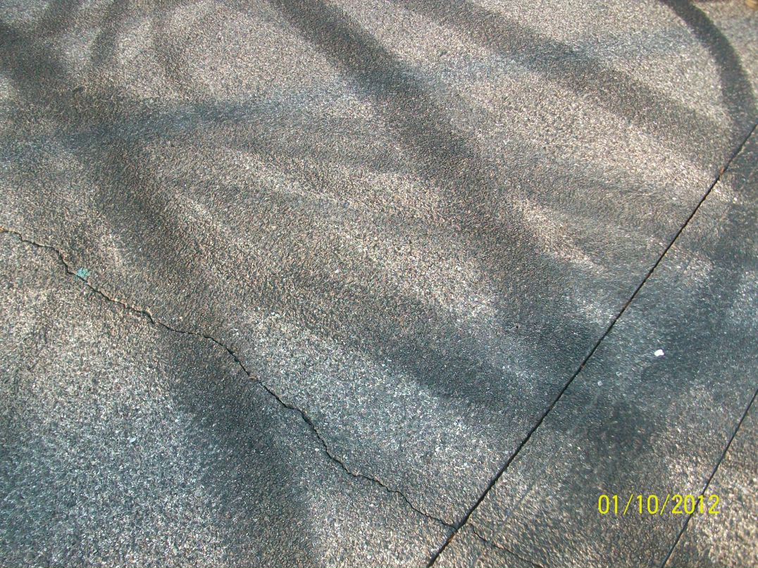 Мария Долгушина | Зеленоград