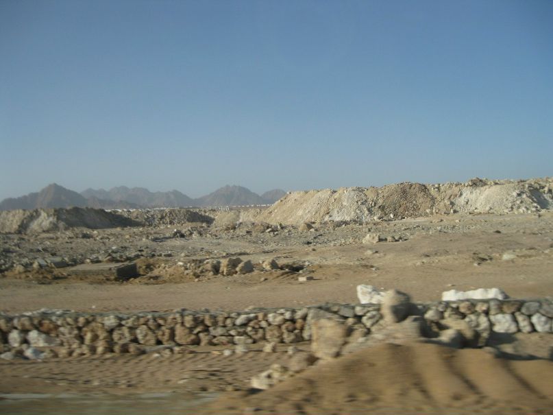 Ольчя Орлова | Запорожье